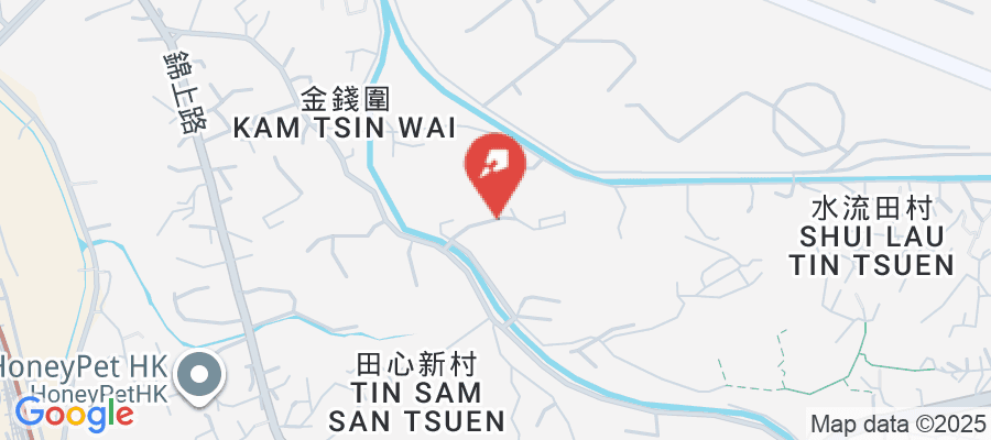 金水南路